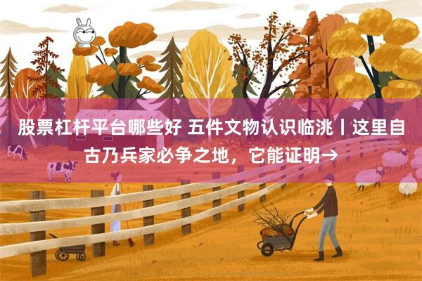 股票杠杆平台哪些好 五件文物认识临洮丨这里自古乃兵家必争之地,它能证明→