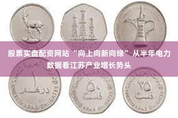 股票实盘配资网站 “向上向新向绿” 从半年电力数据看江苏产业增长势头