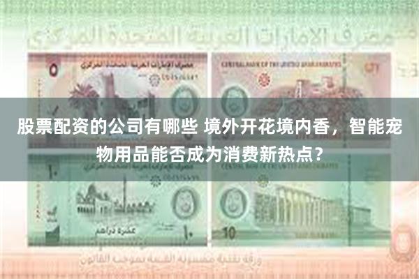 股票配资的公司有哪些 境外开花境内香,智能宠物用品能否成为消费新热点?