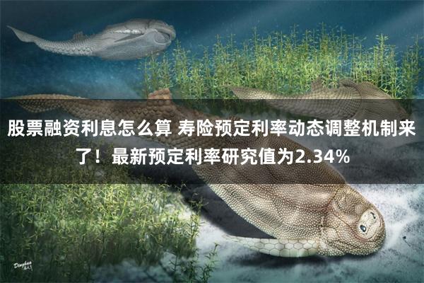 股票融资利息怎么算 寿险预定利率动态调整机制来了!最新预定利率研究值为2.34%