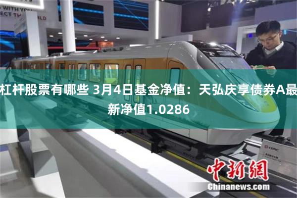 杠杆股票有哪些 3月4日基金净值:天弘庆享债券A最新净值1.0286