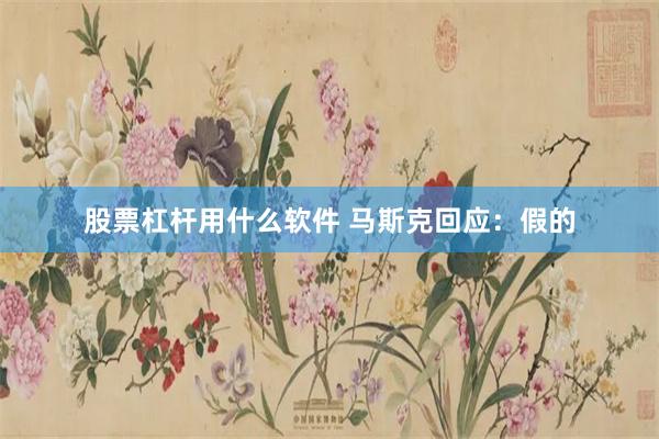 股票杠杆用什么软件 马斯克回应:假的