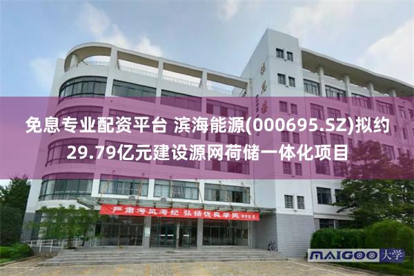 免息专业配资平台 滨海能源(000695.SZ)拟约29.79亿元建设源网荷储一体化项目
