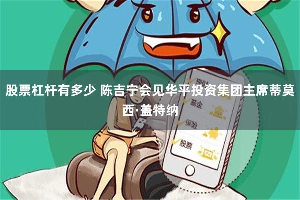 股票杠杆有多少 陈吉宁会见华平投资集团主席蒂莫西·盖特纳