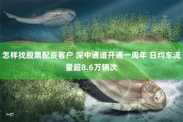 怎样找股票配资客户 深中通道开通一周年 日均车流量超8.6万辆次