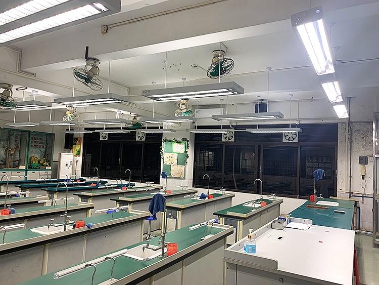 五羊中學（xué）生物室護眼專用燈光改造