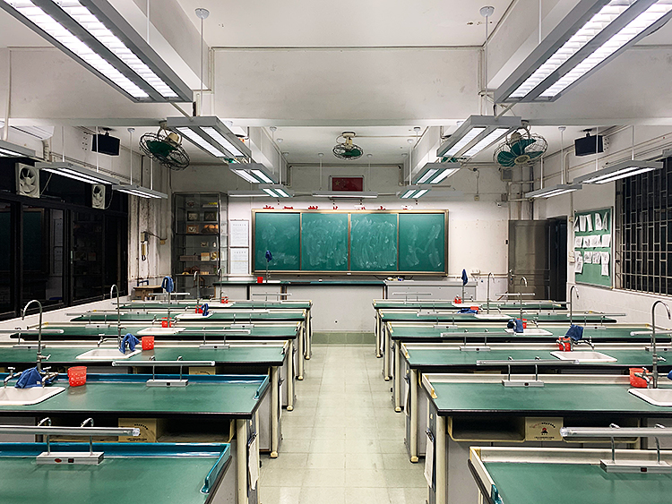 五（wǔ）羊中學生（shēng）物室護眼專用燈（dēng）光改造